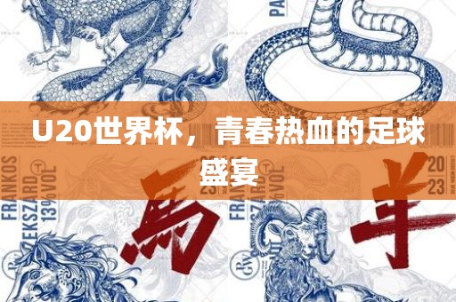U20世界杯，青春热血的足球盛宴