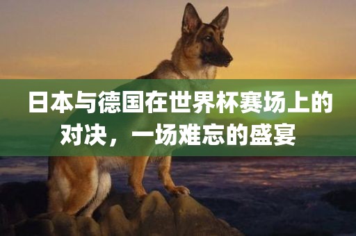 日本与德国在世界杯赛场上的对决，一场难忘的盛宴