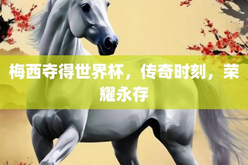 梅西夺得世界杯，传奇时刻，荣耀永存