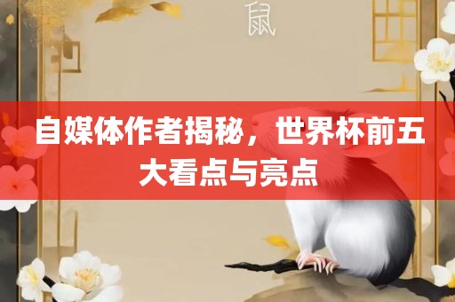 自媒体作者揭秘,世界杯前五大看点与亮点