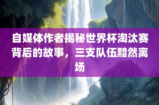 自媒体作者揭秘世界杯淘汰赛背后的故事,三支队伍黯然离场