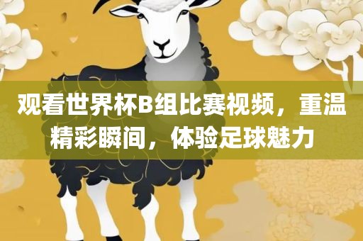 观看世界杯B组比赛视频，重温精彩瞬间，体验足球魅力