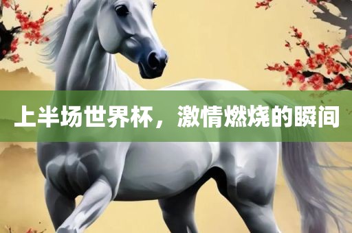 上半场世界杯，激情燃烧的瞬间