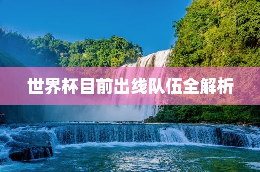 世界杯目前出线队伍全解析