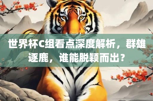 世界杯C组看点深度解析,群雄逐鹿,谁能脱颖而出?