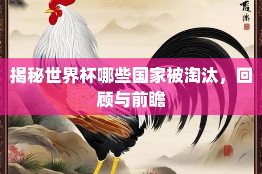 揭秘世界杯哪些国家被淘汰，回顾与前瞻