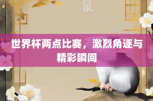 世界杯两点比赛，激烈角逐与精彩瞬间