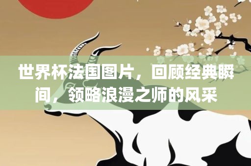 世界杯法国图片,回顾经典瞬间,领略浪漫之师的风采