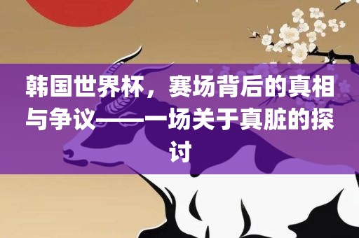 韩国世界杯，赛场背后的真相与争议——一场关于真脏的探讨