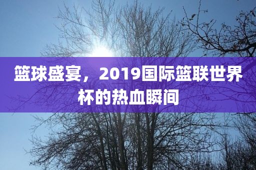 篮球盛宴，2019国际篮联世界杯的热血瞬间