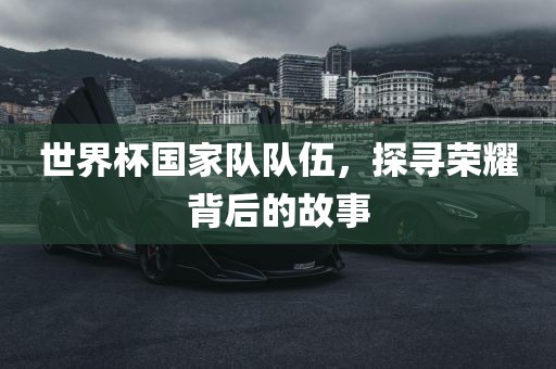 世界杯国家队队伍，探寻荣耀背后的故事