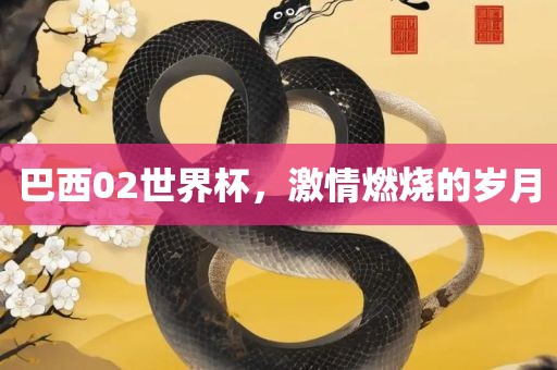 巴西02世界杯，激情燃烧的岁月