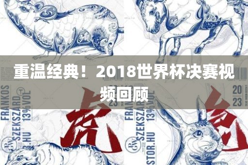 重温经典！2018世界杯决赛视频回顾