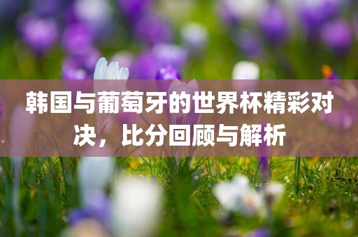 韩国与葡萄牙的世界杯精彩对决,比分回顾与解析