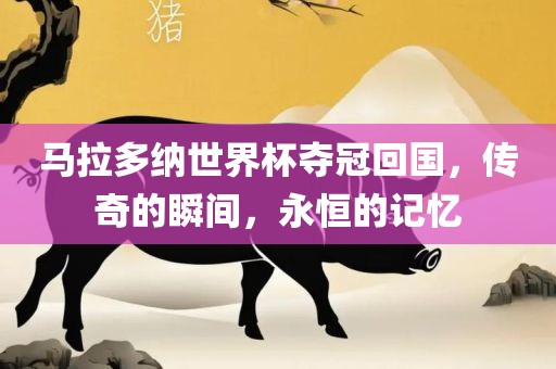 马拉多纳世界杯夺冠回国,传奇的瞬间,永恒的记忆