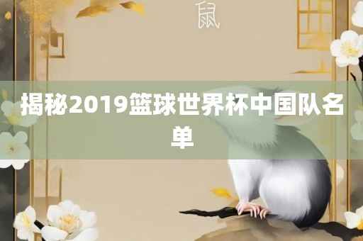揭秘2019篮球世界杯中国队名单