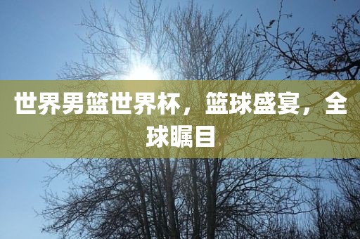 世界男篮世界杯,篮球盛宴,全球瞩目