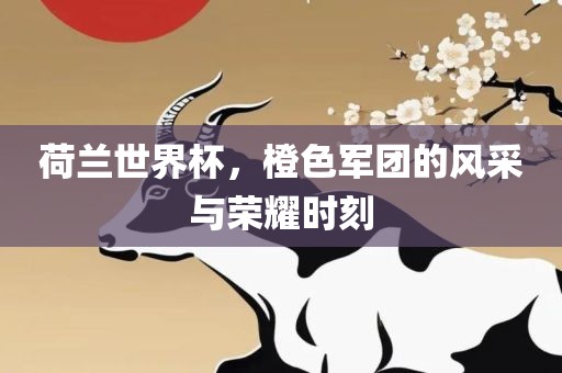 荷兰世界杯，橙色军团的风采与荣耀时刻