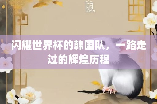 闪耀世界杯的韩国队，一路走过的辉煌历程