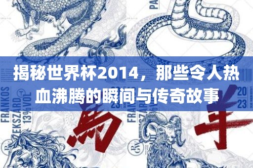 揭秘世界杯2014，那些令人热血沸腾的瞬间与传奇故事