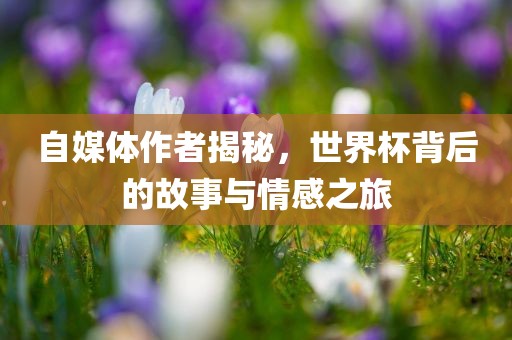 自媒体作者揭秘,世界杯背后的故事与情感之旅