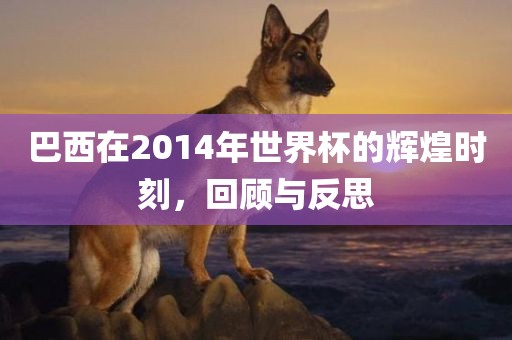 巴西在2014年世界杯的辉煌时刻，回顾与反思