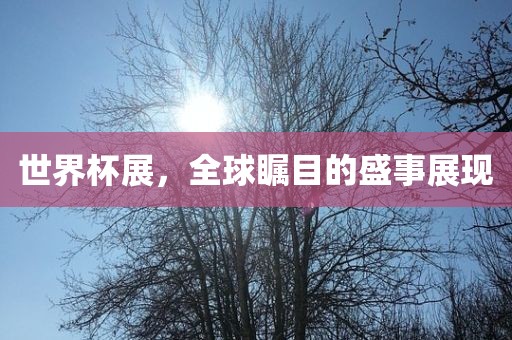 世界杯展，全球瞩目的盛事展现