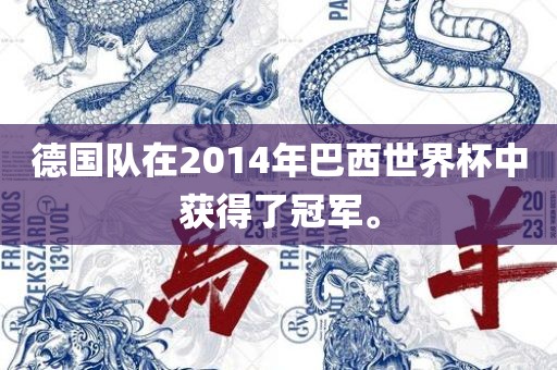 德国队在2014年巴西世界杯中获得了冠军。