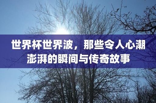 世界杯世界波，那些令人心潮澎湃的瞬间与传奇故事