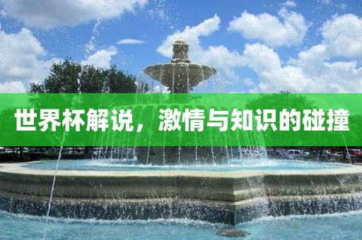 世界杯解说，激情与知识的碰撞