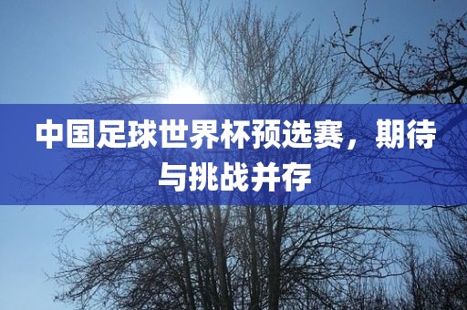 中国足球世界杯预选赛，期待与挑战并存
