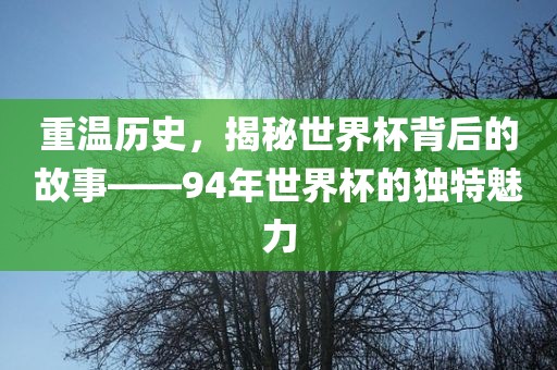 重温历史，揭秘世界杯背后的故事——94年世界杯的独特魅力