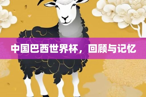 中国巴西世界杯,回顾与记忆