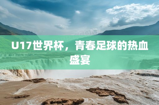 U17世界杯，青春足球的热血盛宴