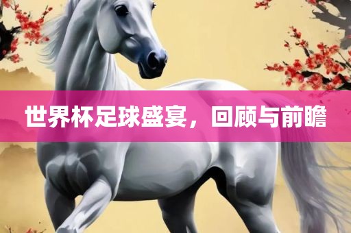 世界杯足球盛宴，回顾与前瞻