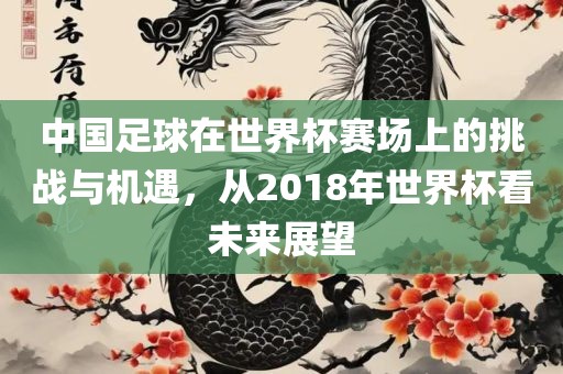 中国足球在世界杯赛场上的挑战与机遇，从2018年世界杯看未来展望
