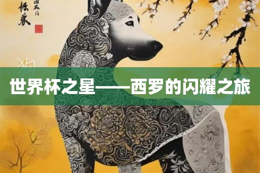 世界杯之星——西罗的闪耀之旅