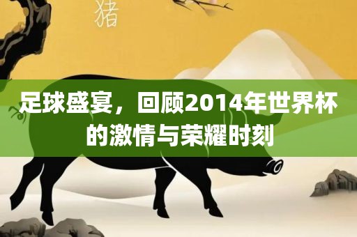 足球盛宴，回顾2014年世界杯的激情与荣耀时刻