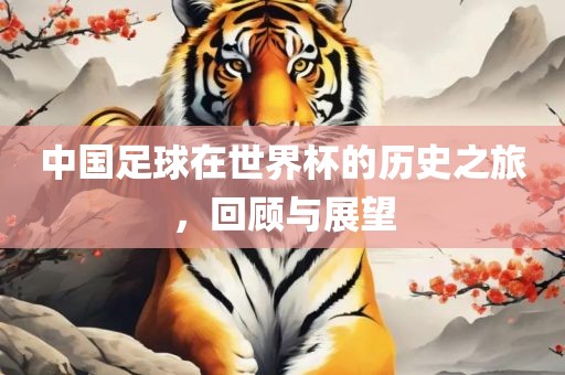 中国足球在世界杯的历史之旅，回顾与展望