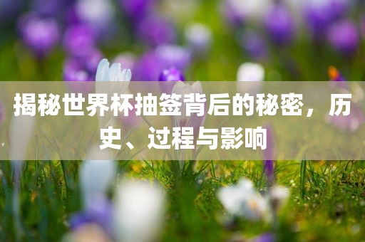 揭秘世界杯抽签背后的秘密，历史、过程与影响