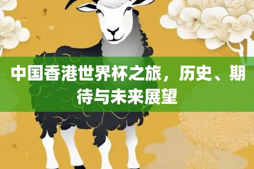中国香港世界杯之旅，历史、期待与未来展望