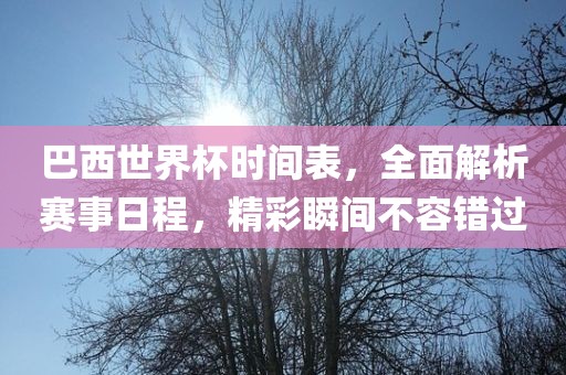 巴西世界杯时间表，全面解析赛事日程，精彩瞬间不容错过