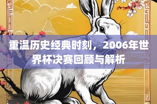 重温历史经典时刻，2006年世界杯决赛回顾与解析