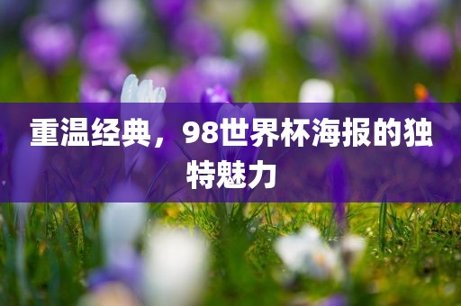 重温经典，98世界杯海报的独特魅力