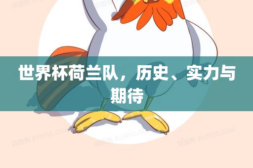 世界杯荷兰队,历史、实力与期待