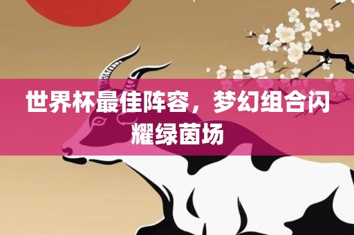 世界杯最佳阵容,梦幻组合闪耀绿茵场