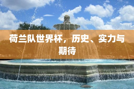 荷兰队世界杯，历史、实力与期待