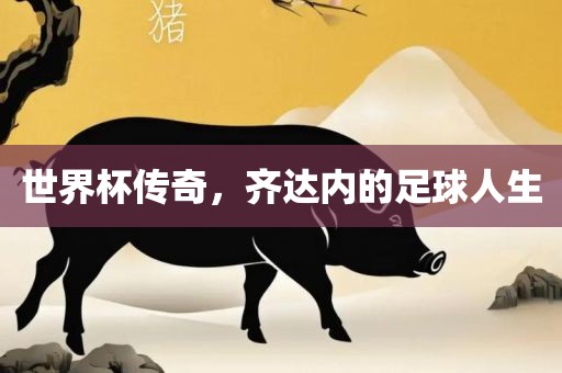 世界杯传奇，齐达内的足球人生