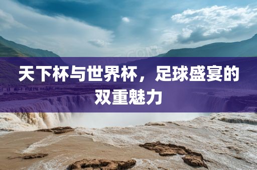 天下杯与世界杯，足球盛宴的双重魅力