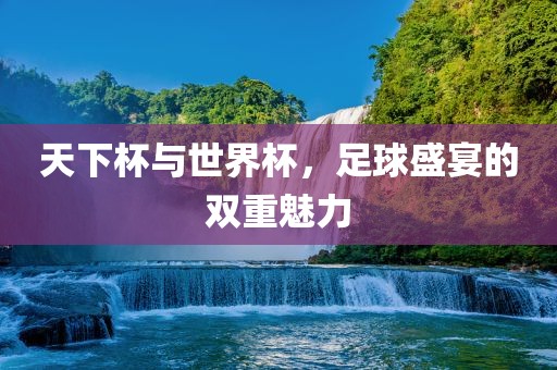 天下杯与世界杯，足球盛宴的双重魅力